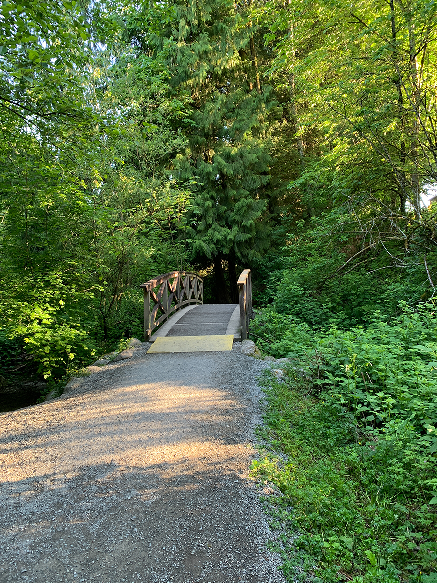 Stoney Creek Trail